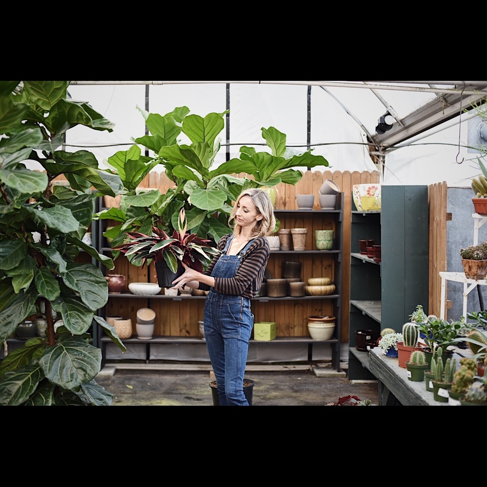 Meet your Posher, Grace